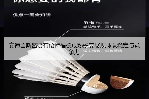 安德鲁斯盛赞布伦特福德成熟蜕变展现球队稳定与竞争力